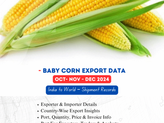 Baby corn Export from India (Oct-Nov-Dec 2024)