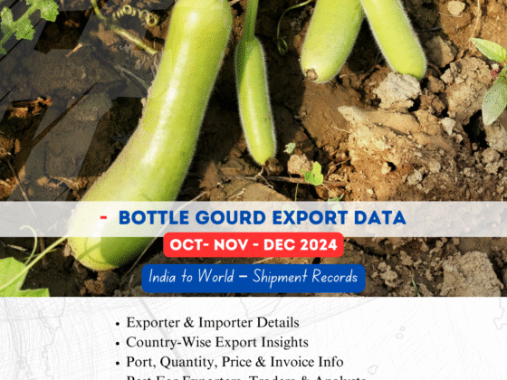 Bottle Gourd Export from India (Oct-Nov-Dec 2024)