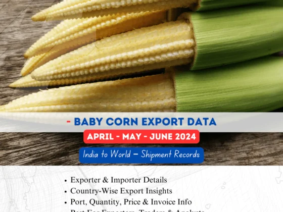 Baby Corn Export from India (Apr-May-Jun 2024)