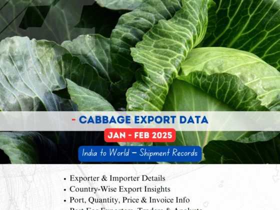 Cabbage Export from India (Jan-Feb 2025)