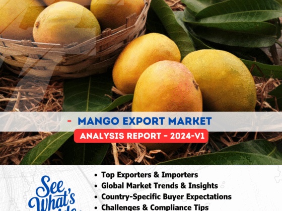 Mango Export Market Analysis Report 2024-V1