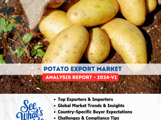 Potato Export Market Analysis Report 2024-V1